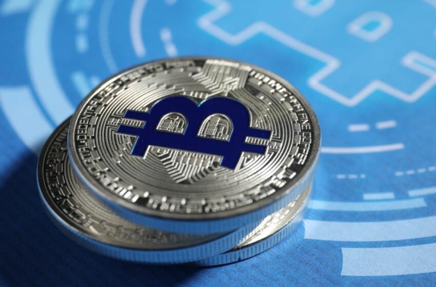  DDC Enterprise Partners With Animoca Brands on $100 Million Bitcoin Yield Strategy