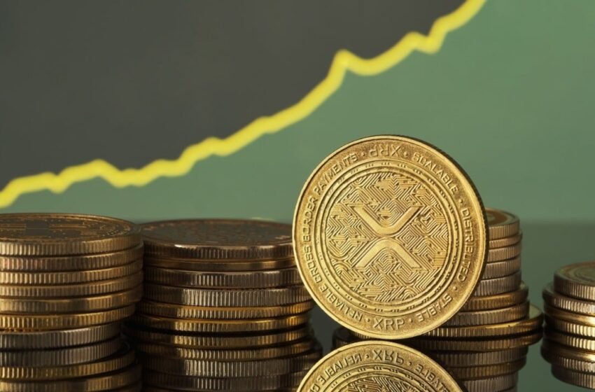  Nature Miracle Launches $20 Million XRP Treasury
