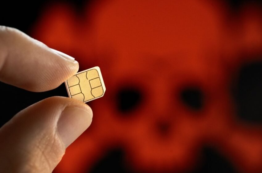  Canadian Woman Sues After $1.3M in Bitcoin Vanishes in SIM-Swap Scam