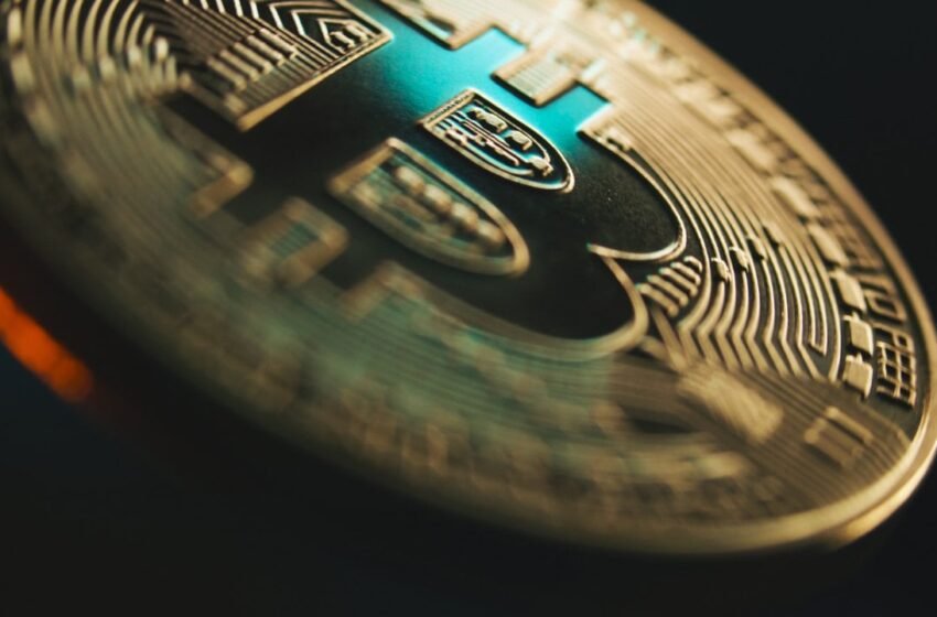  Economist Steve Hanke Torches Bitcoin Strategy With Brutal ‘No Value’ Verdict