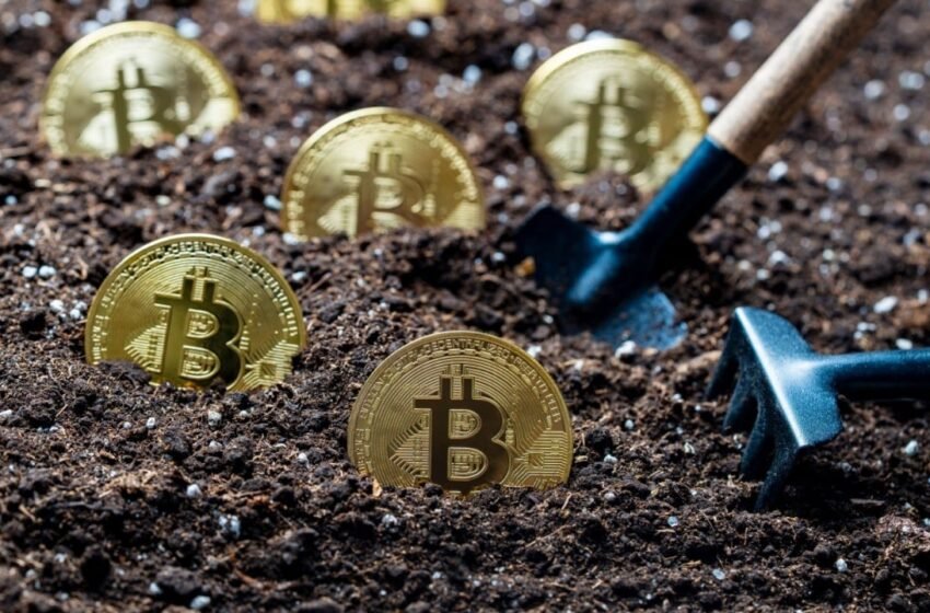  Adecoagro Partners With Tether to Pioneer Renewable Energy Use for Bitcoin Mining in Brazil