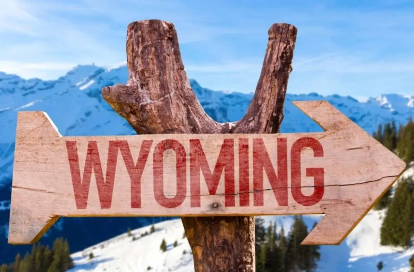  Wyoming Introduces First State-Issued Digital Dollar