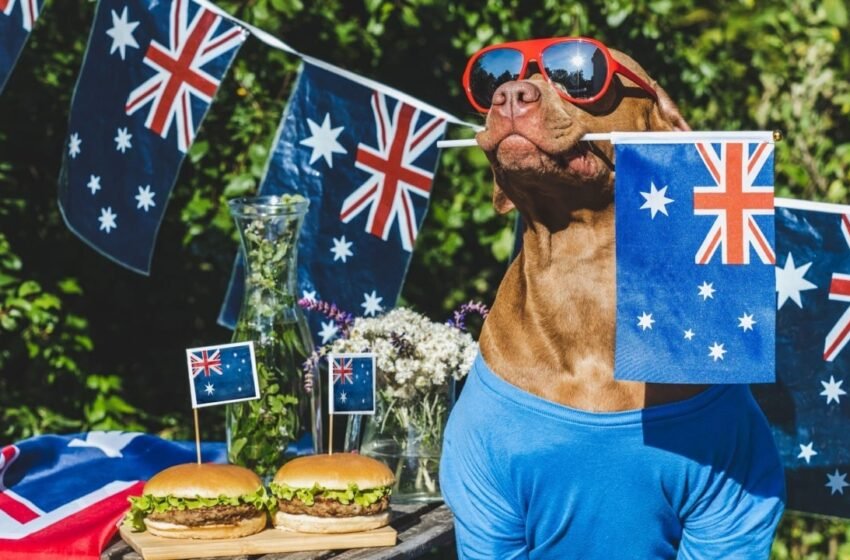  Webull Launches Crypto Trading in Australia, Offers 240 Tokens via Coinbase Prime