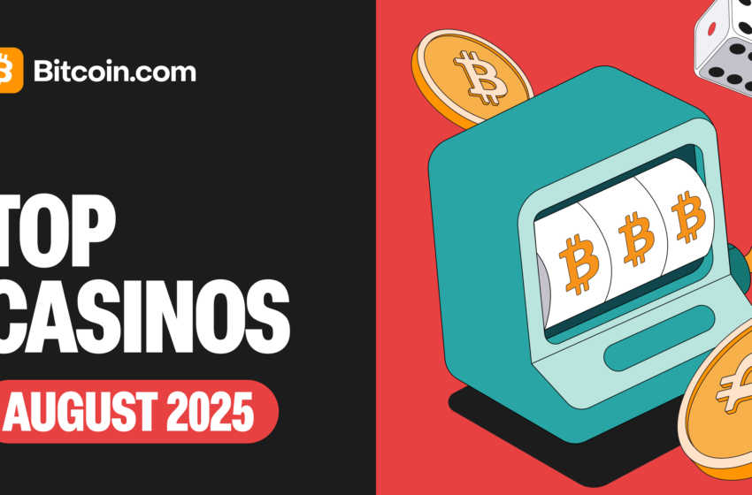  Top Bitcoin Casinos for Beginners [August 2025]