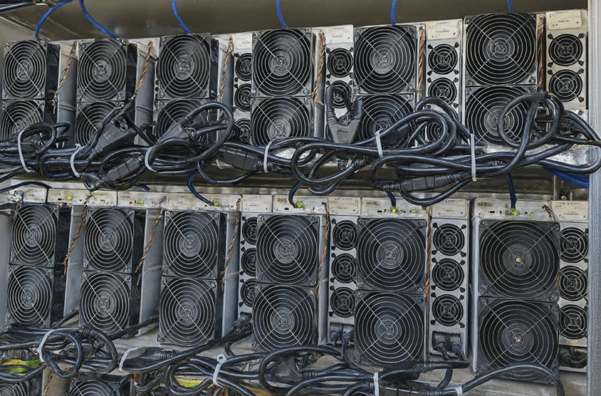  Inside the Powerhouse: The 50 Most Profitable Bitcoin Miners, Aug. 9-10, 2025