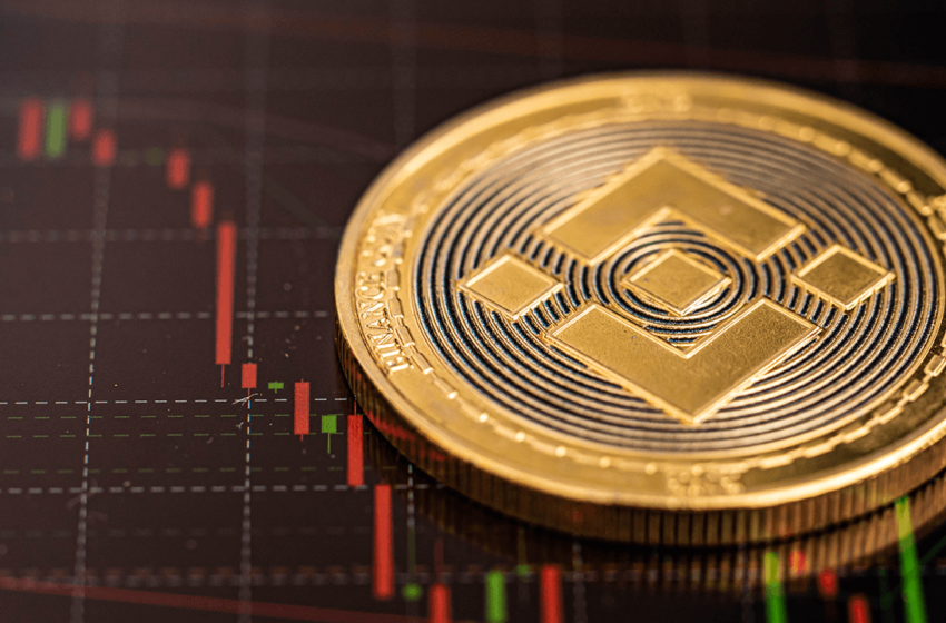  BNB Joins USDe’s Backing, XRP and HYPE Next in Line