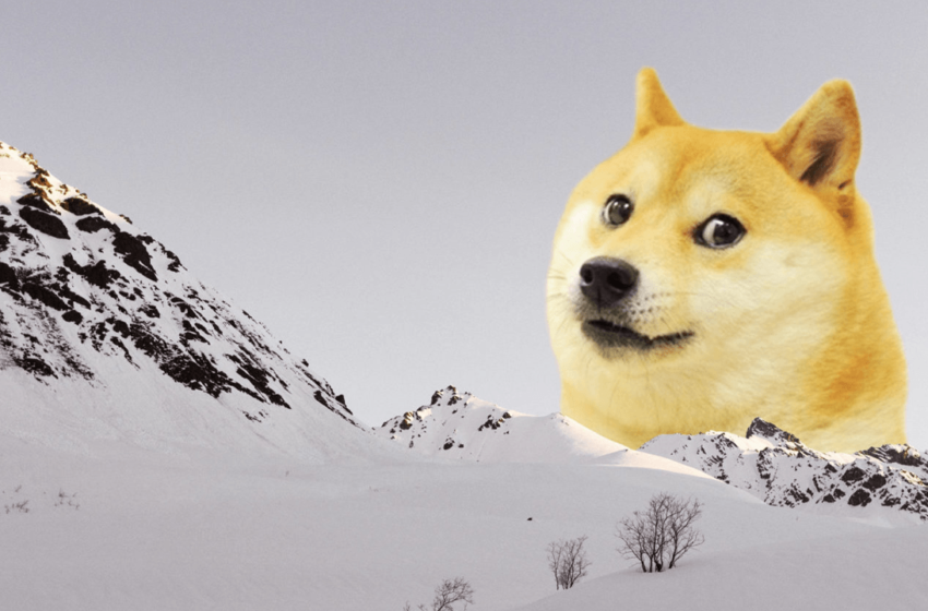 Meme Coin Market Climbs 23.9% Since Early July, Adding $14 Billion