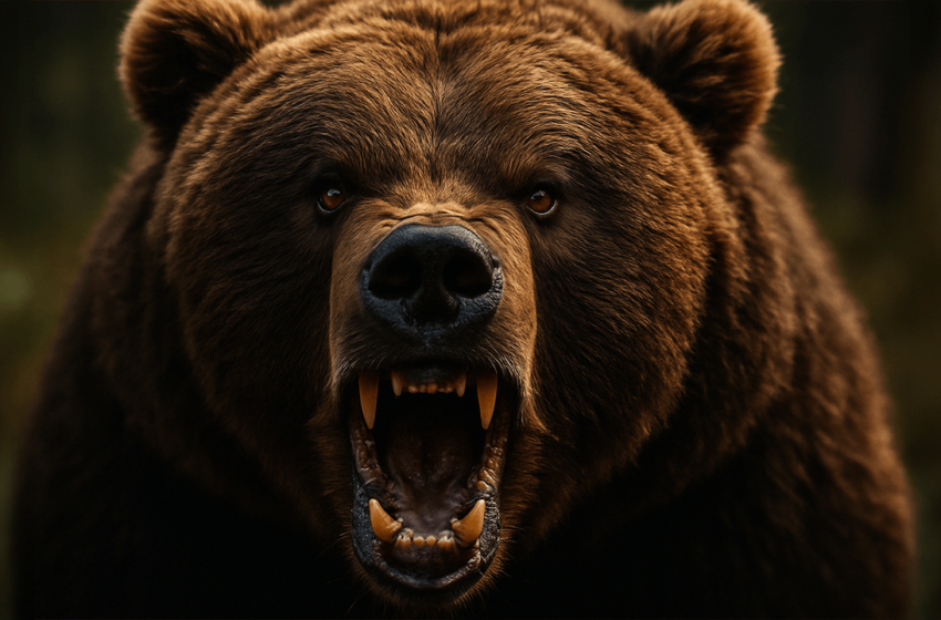  Bitcoin Bears Take Control — Key $110K Barrier Shattered