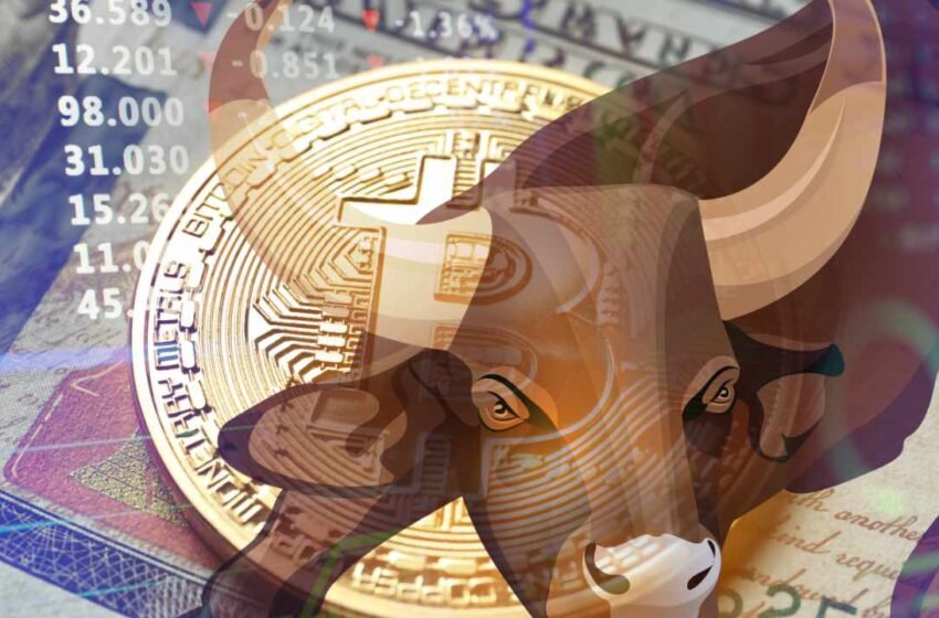  No Bear Market in Sight? Bitcoin’s Bull Run May Stretch for Years