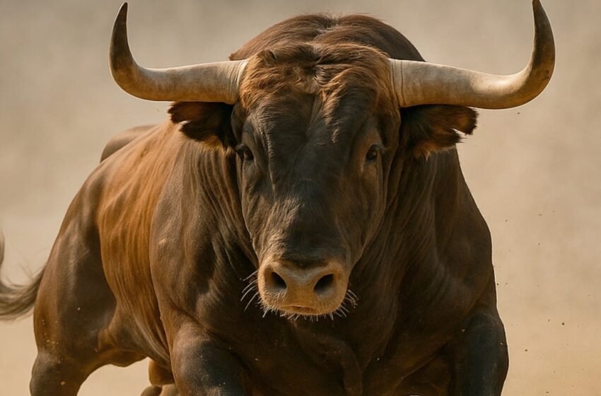 Analysts See Multi-Year Crypto Bull Market as Institutional Floodgates Swing Open