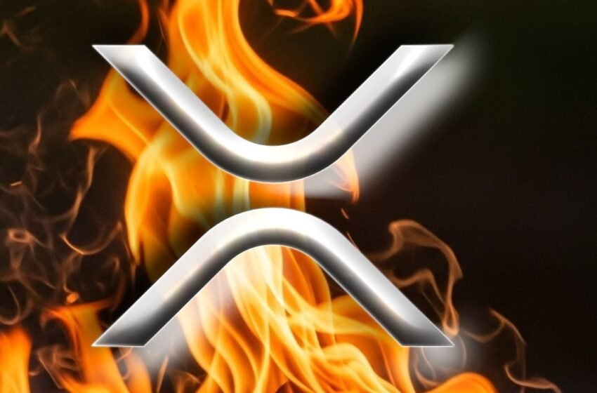  Ripple CEO Endorses XRP Card With Fire—Says ‘What a Time to Be Alive, XRP Family’