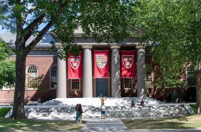  Harvard Professor and Ex-IMF Chief Economist Offers Excuses for Misjudging Bitcoin a Decade Ago