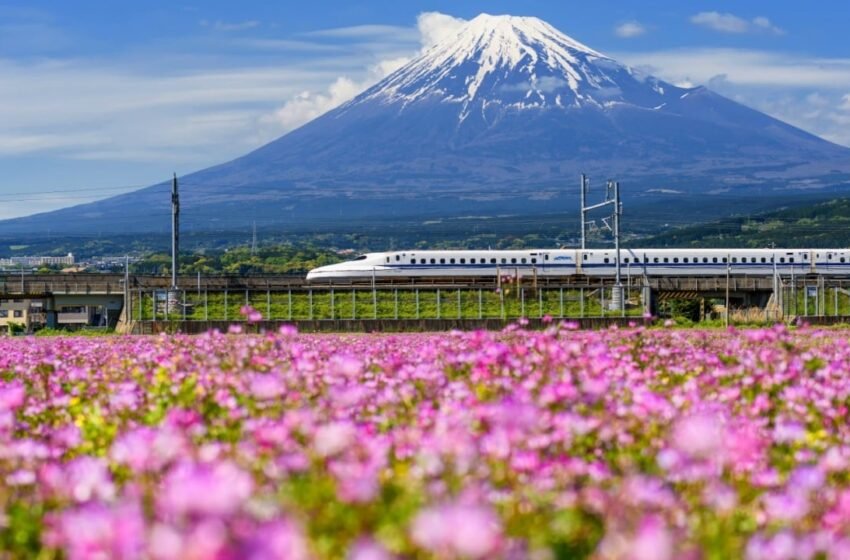  Metaplanet Buys 103 Bitcoin, Now Holds 18,991 BTC Valued at $1.95B