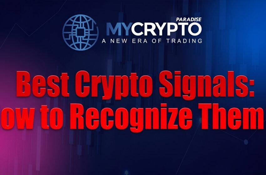  Best Crypto Signals: How to Recognize Them?