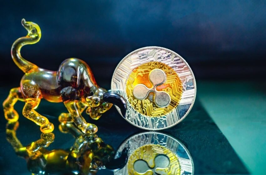  XRP’s Rally to $4.80 Possible as It Holds Key Support, Analyst Says