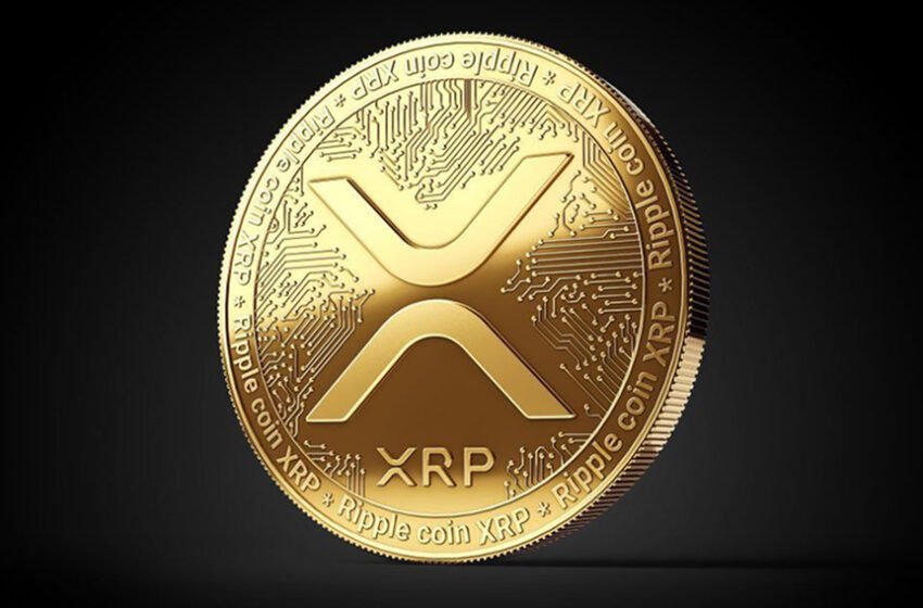  Gemini and Ripple Launch XRP Rewards Credit Card