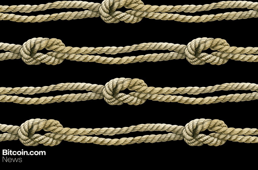  From Peak to Plunge: Bitcoin Knots Loses Nearly a Third of Its Nodes Since Sept. 14