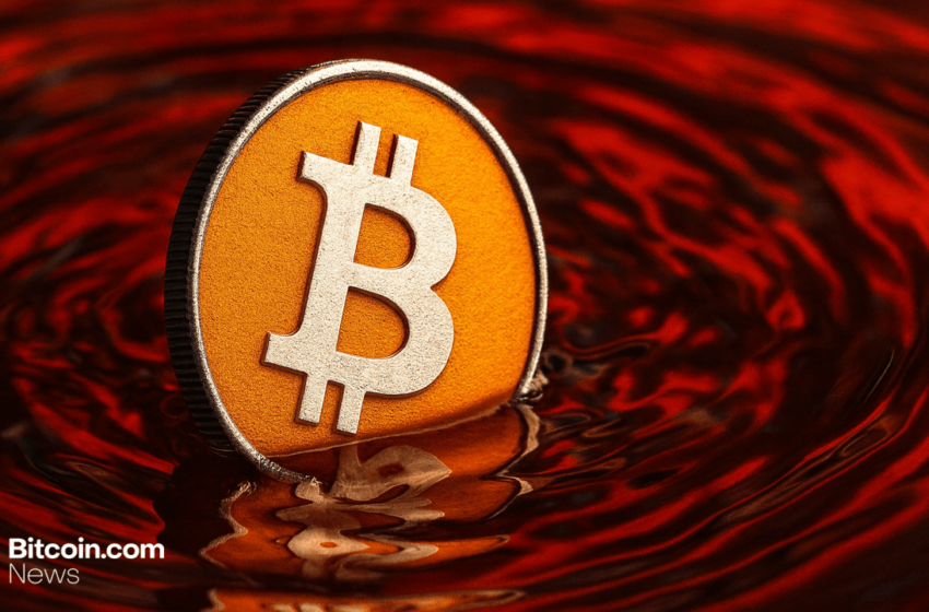  Margin Call Nightmare: BTC’s Plunge Below $109,000 Flushes $265M in Longs
