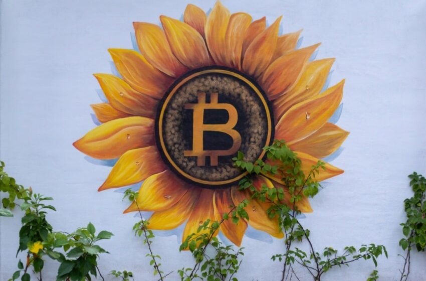 Blockchain Sleuth Points out El Salvador Might Be ‘Recycling Bitcoin’