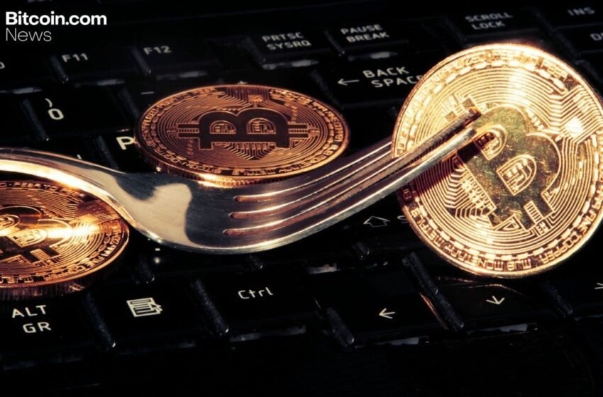 Knots Developer Luke Dashjr Plans Hard Fork To ‘Save Bitcoin’