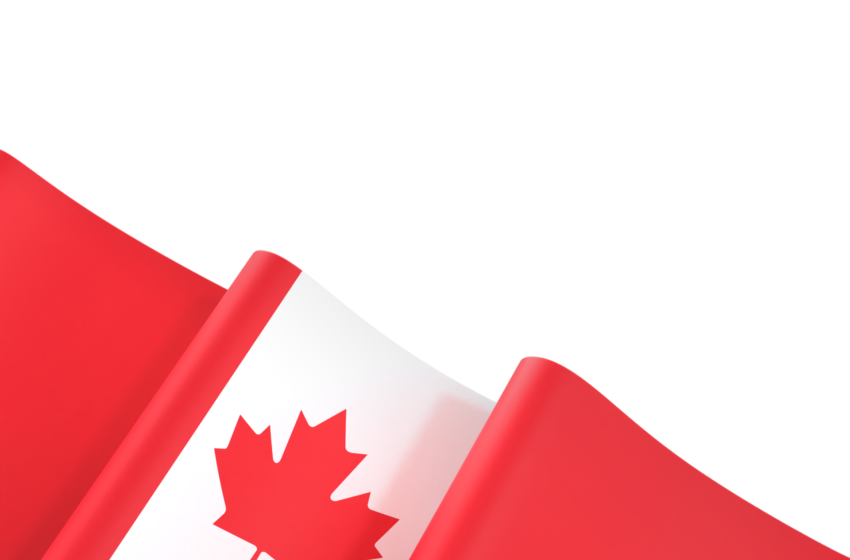 Canadian Steals 34 Million in Cryptocurrency Then Strikes Again While on Bail