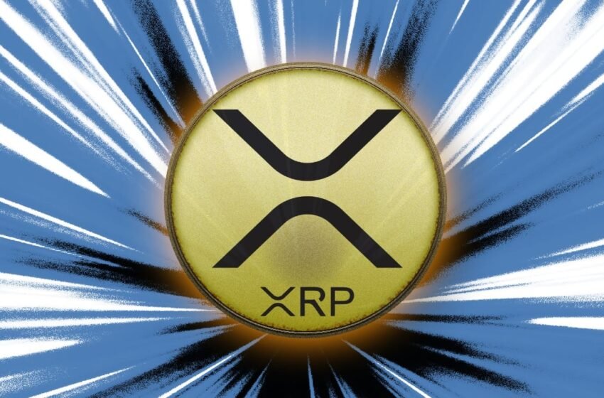  XRP Ecosystem Boosted as Chainalysis Adds Support for 260K XRPL Tokens