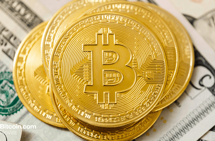  Vintage 2013 Bitcoin Wallets Dump 300 BTC Into Bitstamp After 12-Year Silence