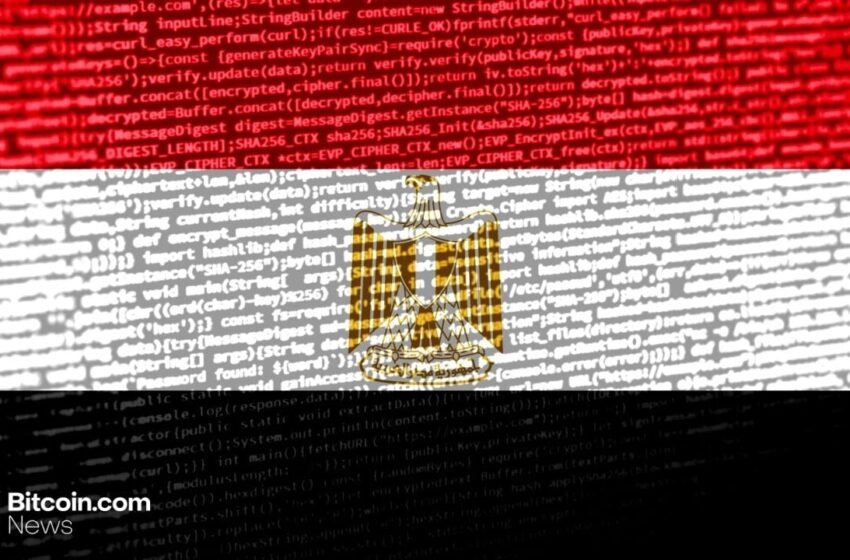  ‘From Risk to Curiosity’: Egypt’s Blockchain Mindset Is Changing