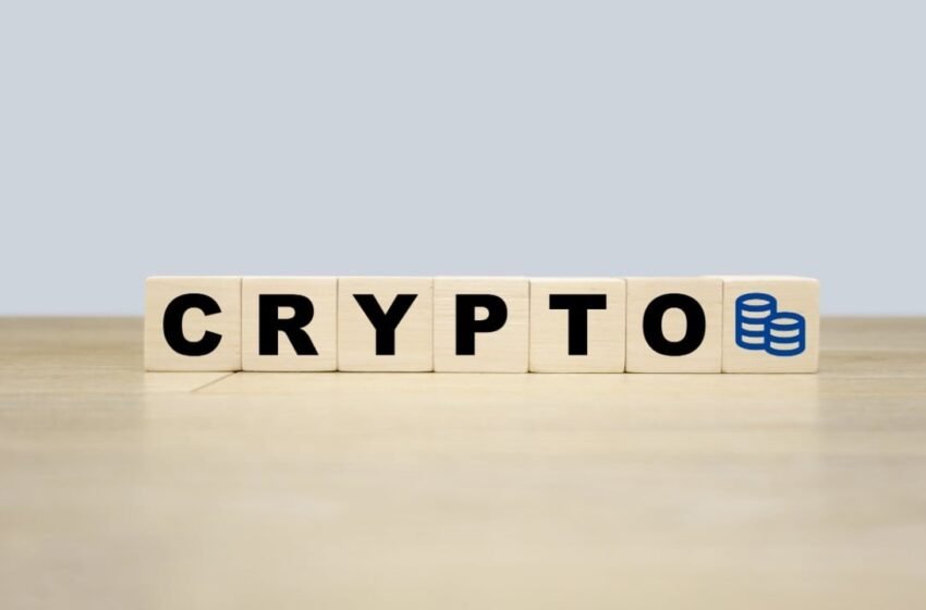  India and US Lead 2025 Global Crypto Adoption Index: Chainalysis Report