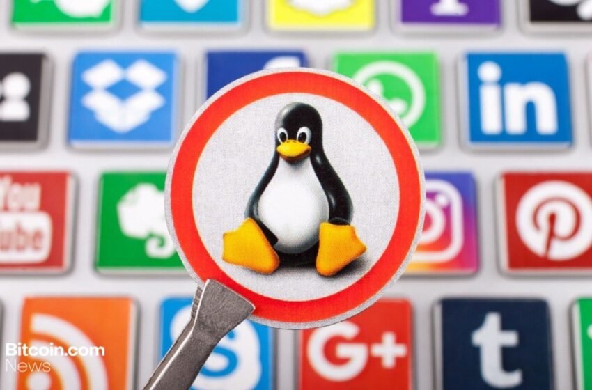  Vitalik Buterin Calls for Full‑Stack Openness and Verifiability to Secure a Digital Future