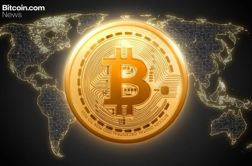 Report: Under 20,000 Addresses Hold More Than 60% of Bitcoin’s Supply