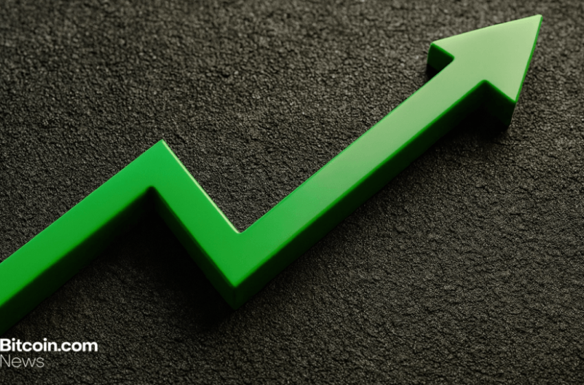 Stablecoin Sector Smashes Past the $290 Billion Milestone