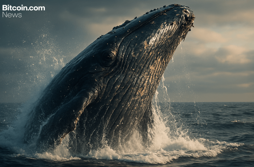 Long-Dormant Bitcoin Whale Awakens, Moves $45.6M in BTC After Nearly 12 Years