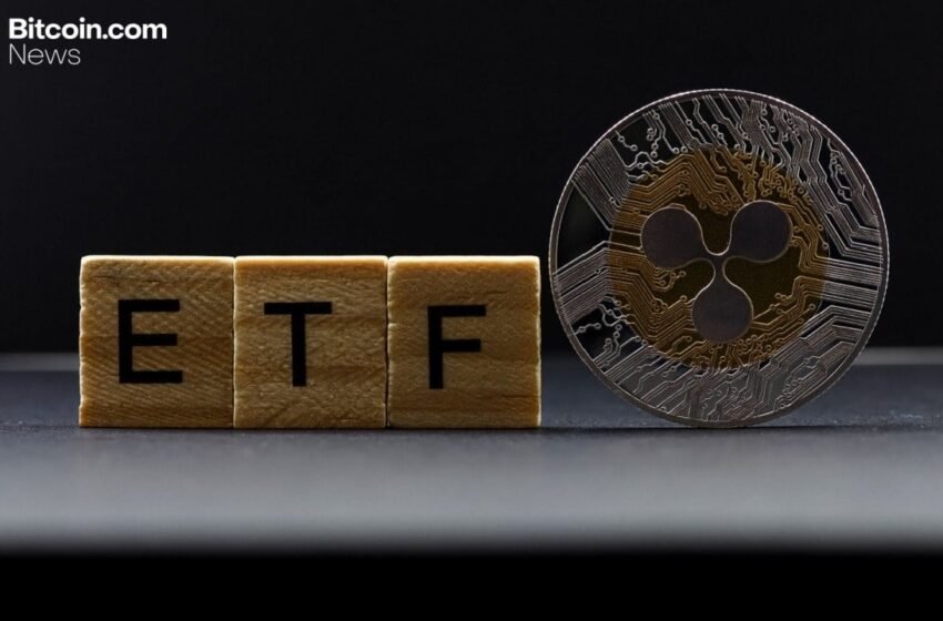  Cyber Hornet ETF Filing Flags Whale Manipulation Risk in XRP