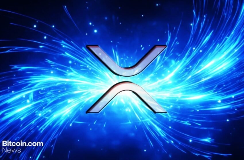  Ripple CEO Calls out XRP Seoul Energy as 3,000+ Pack in From 40+ Nations