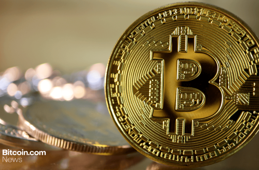  Dual-Listed ZOOZ Power Commits to Bitcoin Treasury in Bold Strategic Shift