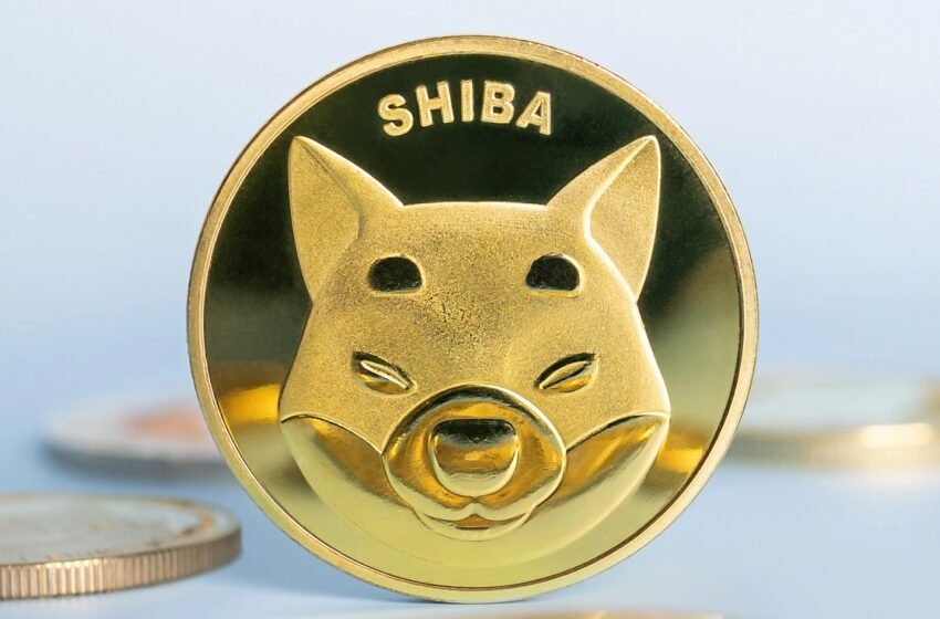 Shiba Inu price forecast: bulls eye breakout after deep accumulation