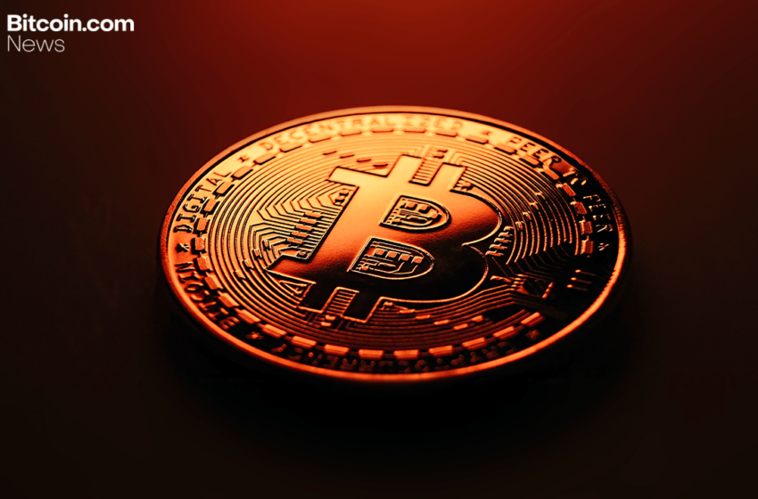  Bitcoin Crashes to $110,623 as Market Continues to Shake Out