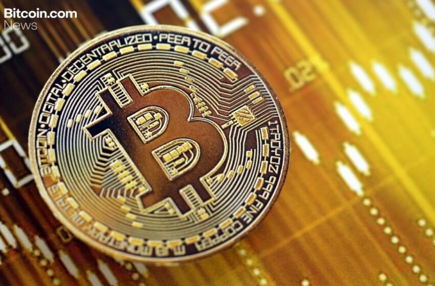 Bitcoin’s ‘Broadening Top’ Pattern Sparks 50% Decline Warning From Veteran Trader
