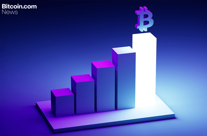  Bitcoin Price Watch: Sky-High Momentum Meets Fading Volume