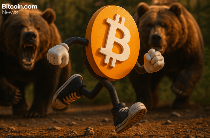 Bitcoin Price Watch: Bear Trend Persists Despite Short-Term Bounce