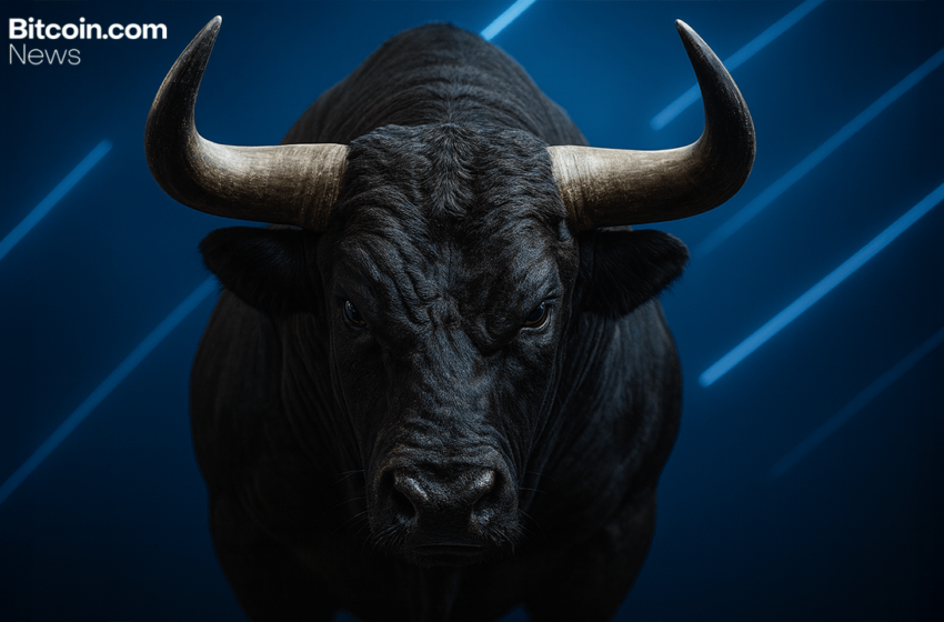 Bitcoin’s Bull Cycle Isn’t Over Yet, Says Cryptoquant’s Onchain Data