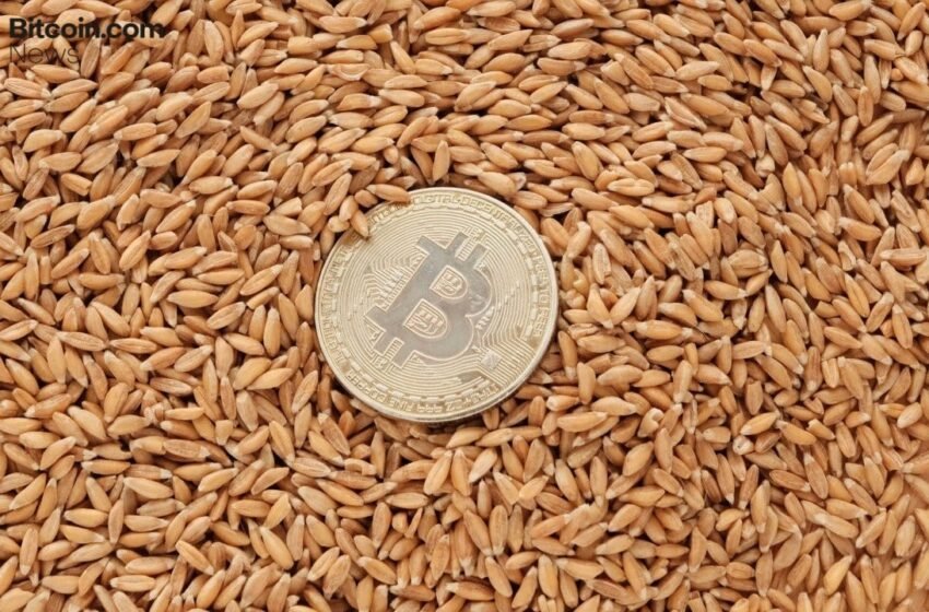 DDC Enterprise Secures $124 Million to Accelerate Bitcoin Treasury Expansion
