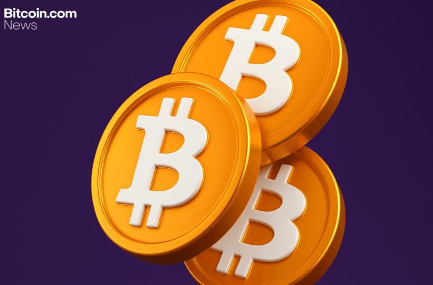 Bitcoin Derivatives Split: Shrinking Futures, Stubbornly Heavy Options