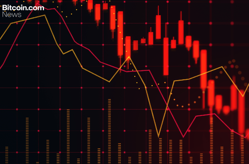  Surviving the Crash: XBO.com Founder Urges Discipline in Volatile Crypto Markets