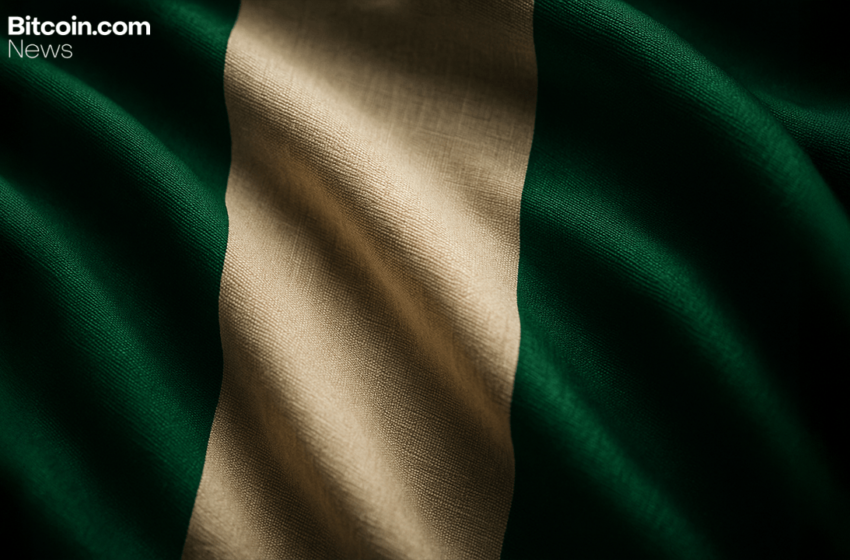  Nigeria Forms Working Group to Explore Stablecoin Adoption