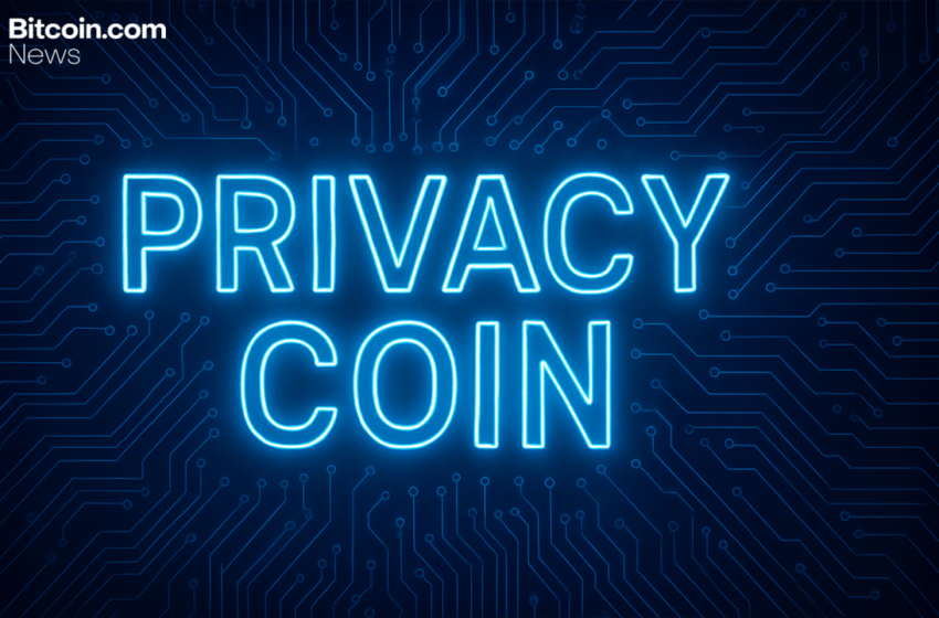  Privacy Coins Seize Market Lead: Sector Jumps 15% as Broader Crypto Market Stalls