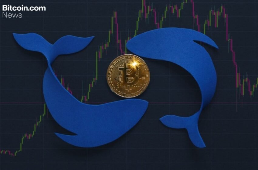  Bitcoin Tumbles Below $100K Amid Sell-Off by Long-Term ‘OG’ Whales