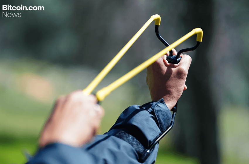  Bitcoin’s Brutal Flush Sets the Stage for a Violent Upside Rebound