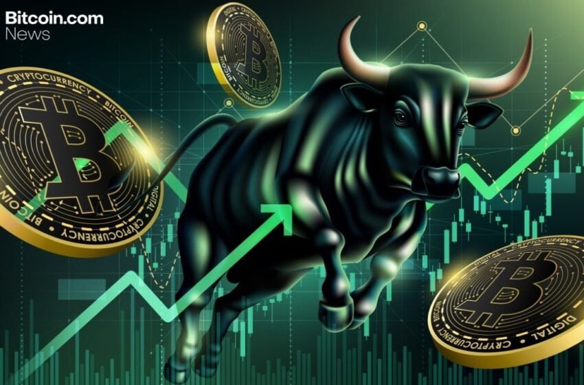  Coinbase Loads up on Bitcoin With 2,772 BTC Added in Q3—Promises to Keep Buying More